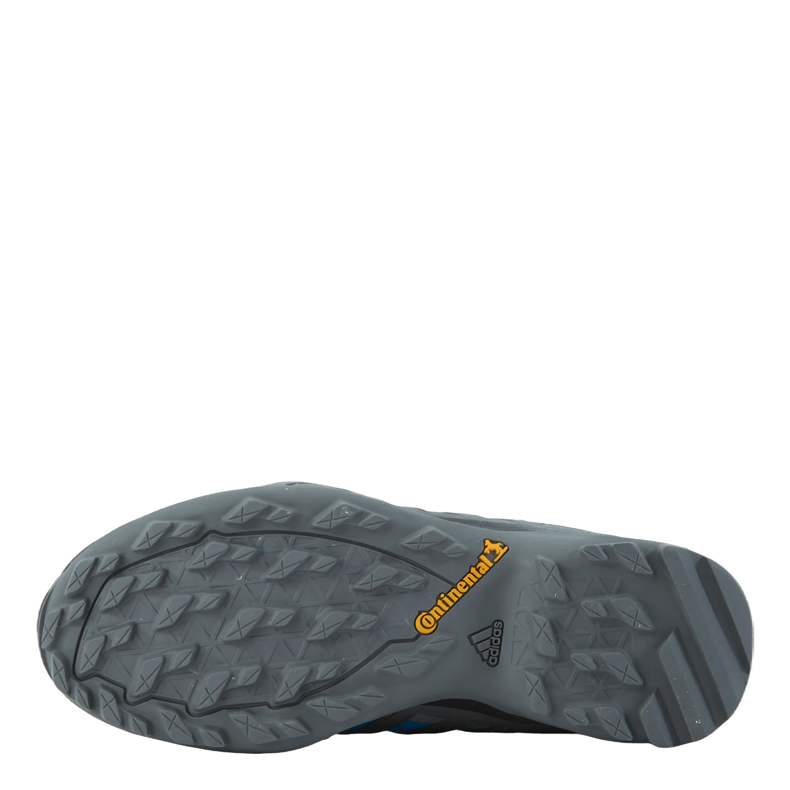 Terrex Swift R2 GTX Shoes Blue Rush / Grey Four / Core Black
