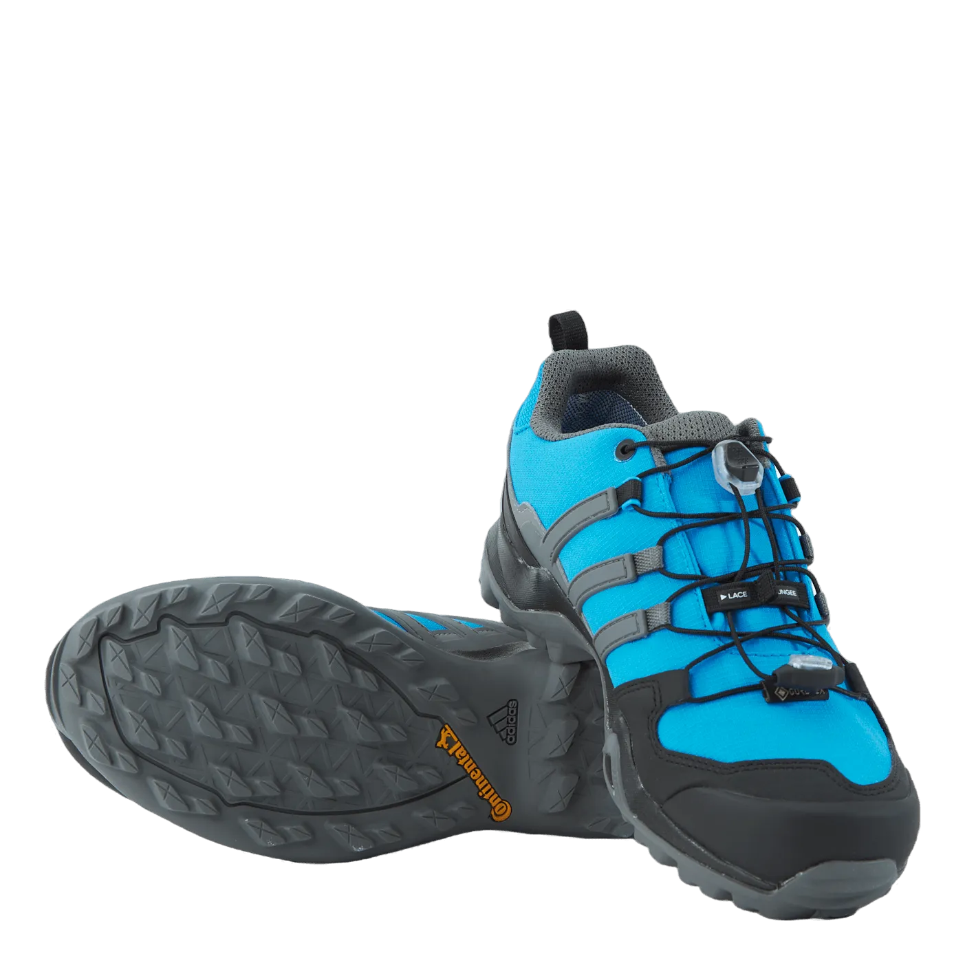 Terrex Swift R2 GTX Shoes Blue Rush / Grey Four / Core Black