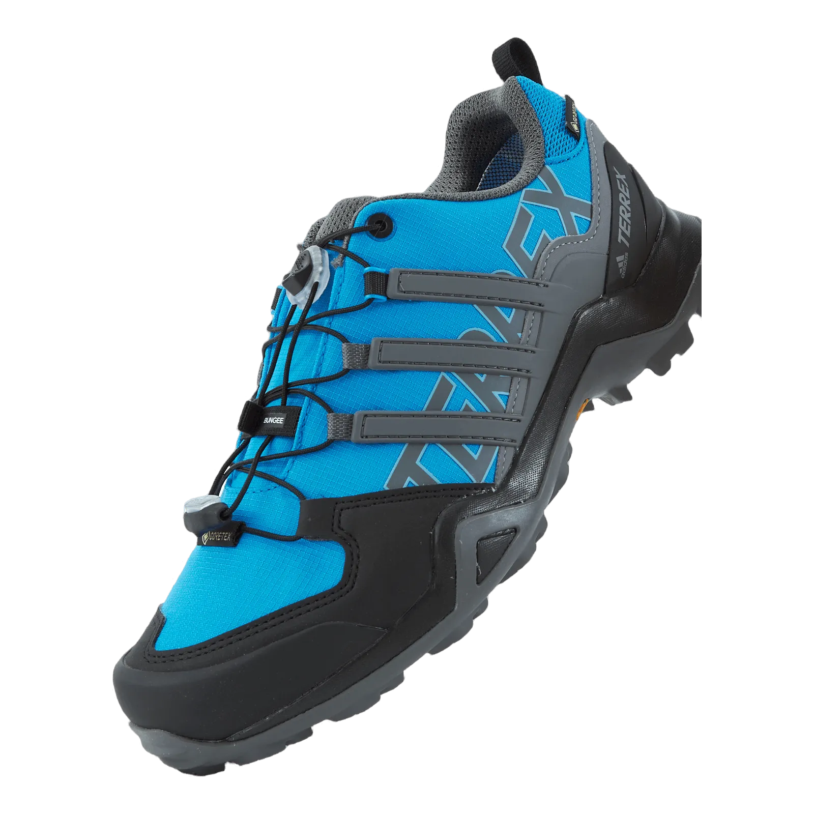 Terrex Swift R2 GTX Shoes Blue Rush / Grey Four / Core Black