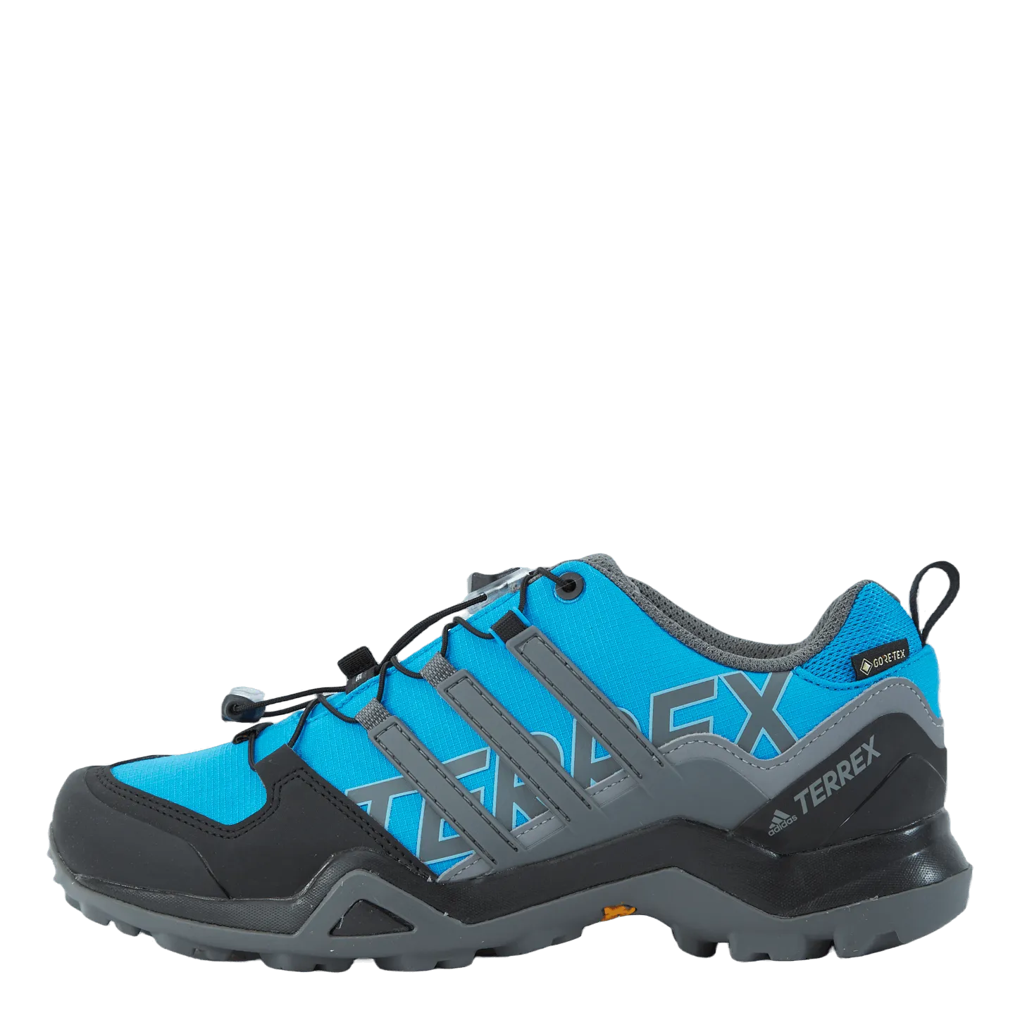 Terrex Swift R2 GTX Shoes Blue Rush / Grey Four / Core Black